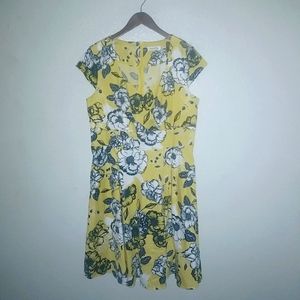 Bbonlinedress 2X Retro 50s Cotton V-Neck Fit Flare  Yellow Floral Dress